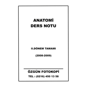 Ecz-1 Anatomi