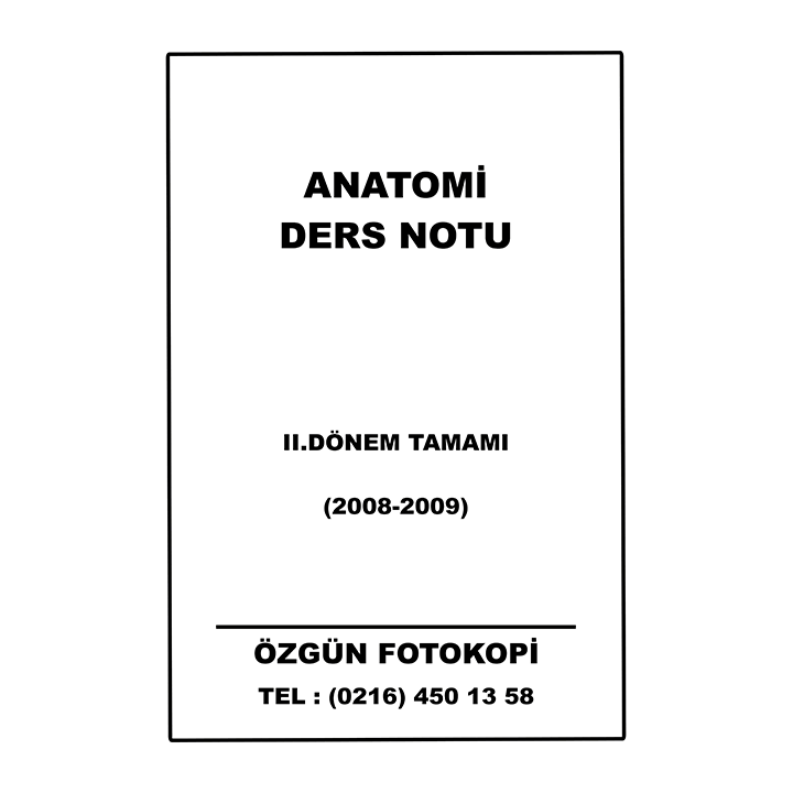 Ecz-1 Anatomi