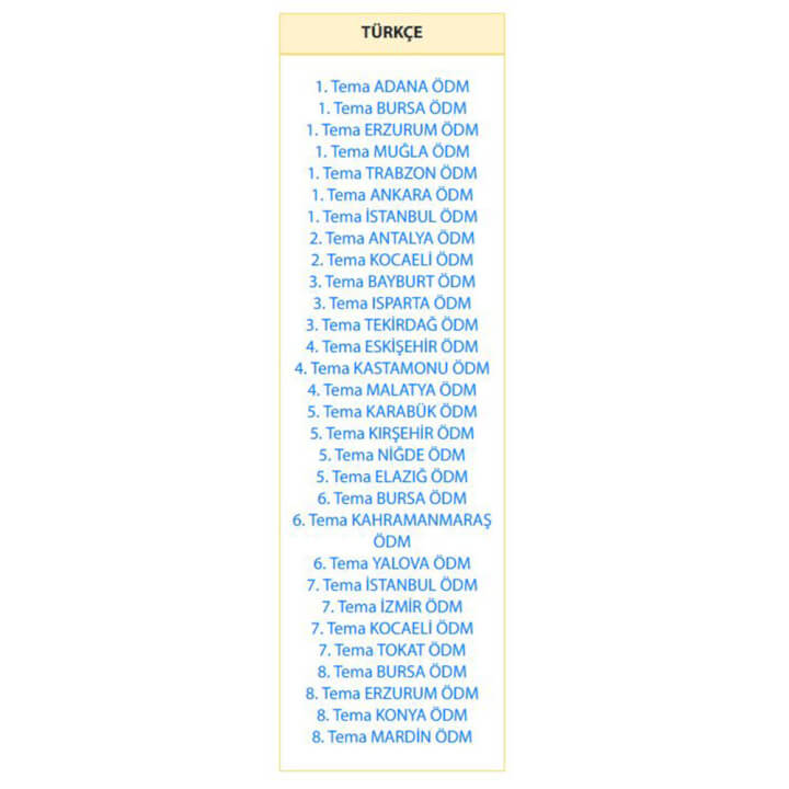 8.Sınıf Türkçe Çalışma Fasikülleri - Görsel 2