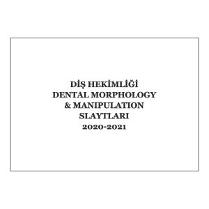 Diş-1 Dental Morphology & Manipulation Slaytları 2020-2021